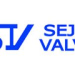 sejin-valve